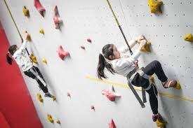 麻将中的牌概率（麻将牌概率解析）